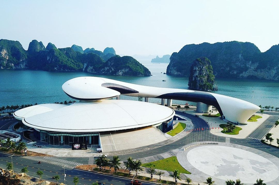 Cung Ca Heo Halong