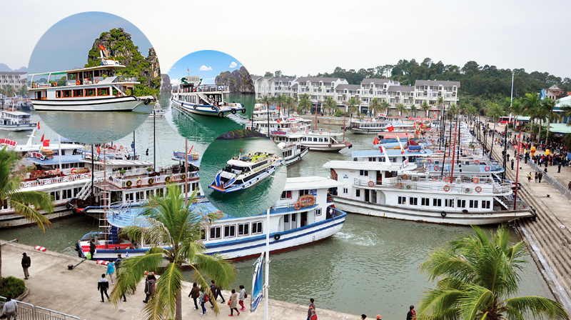 Tàu thăm vịnh Hạ Long